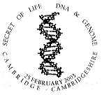 DNA chain