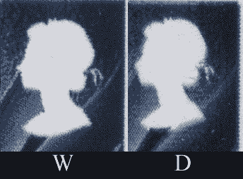 2005 42p Wales stamp showing difference in size and position of head, between the Walsall and De la Rue printings