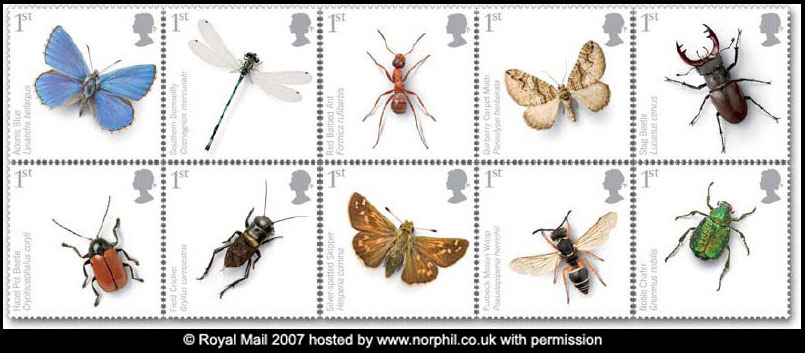 set of 10 insect stamps - Adonis Blue butterfly, Southern 
Damselfly, Red Barbed Ant, Barberry Carpet moth, Stag Beetle, Hazel Pot Beetle, Field Cricket, Silver-spotted Skipper, Purbeck Mason wasp, and Noble Chafer beetle.