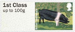 Pictorial Faststamps - British Saddleback Pig.