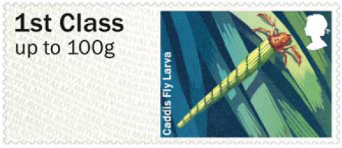 Faststamp showing Cadis Fly Larva.