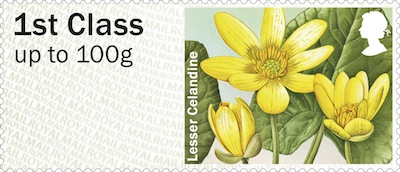 Faststamp illustrated with Lesser Celandine.