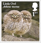 Tawny Owl chicks on stamp.